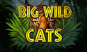 Big Wild Cats